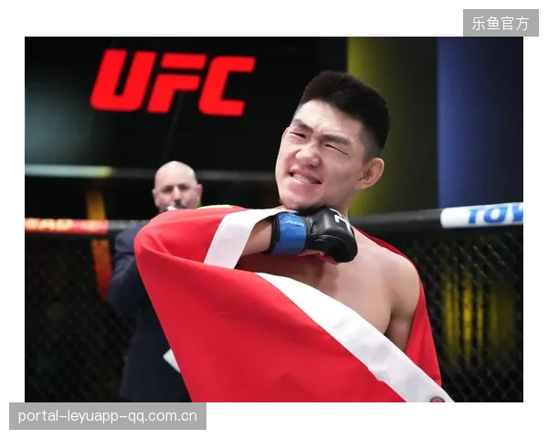 UFC重击声像鞭炮一样响，震撼人心的打斗盛宴
